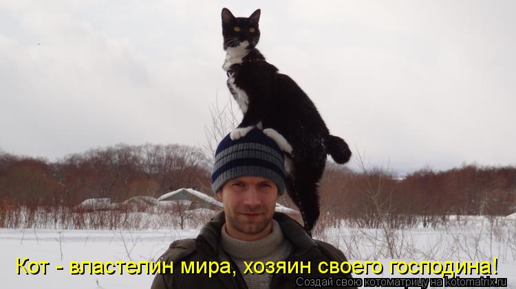 Кот - властелин мира, хозяин своего господина!... Котоматрица: Кот - властелин мира, хозяин своего господина!