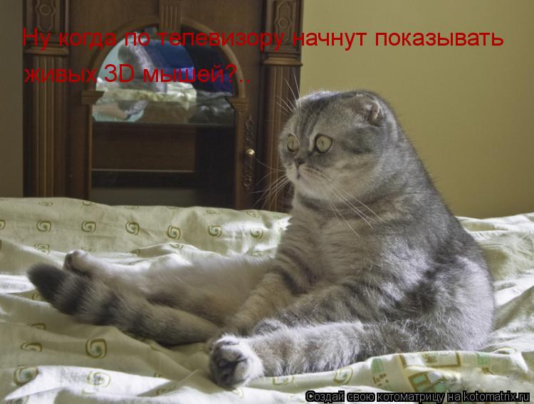 Ну когда по телевизору начнут показывать живых 3D мышей?..... Котоматрица: Ну когда по телевизору начнут показывать живых 3D мышей?..