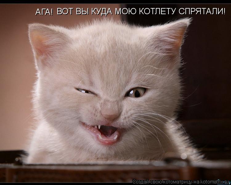 АГА! ВОТ ВЫ КУДА МОЮ КОТЛЕТУ СПРЯТАЛИ!... Котоматрица: АГА! ВОТ ВЫ КУДА МОЮ КОТЛЕТУ СПРЯТАЛИ!