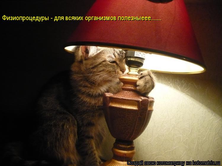 Физиопроцедуры - для всяких организмов полезныеее.......... Котоматрица: Физиопроцедуры - для всяких организмов полезныеее.......