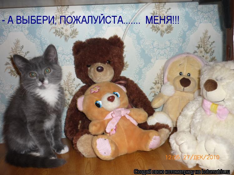- А ВЫБЕРИ, ПОЖАЛУЙСТА....... МЕНЯ!!!... Котоматрица: - А ВЫБЕРИ, ПОЖАЛУЙСТА....... МЕНЯ!!!