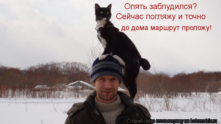 Опять заблудился? Сейчас погляжу и точно до дома маршрут проложу!... Котоматрица: Опять заблудился? Сейчас погляжу и точно до дома маршрут проложу!