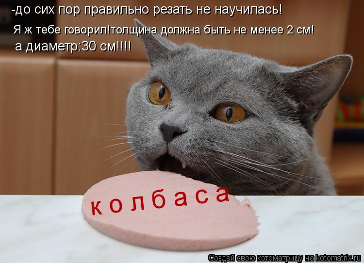 -до сих пор правильно резать не научилась! Я ж тебе говорил!толщина должна быть не менее 2 см! а диам... Котоматрица: -до сих пор правильно резать не научилась! Я ж тебе говорил!толщина должна быть не менее 2 см! а диаметр:30 см!!!! к о л б а с а