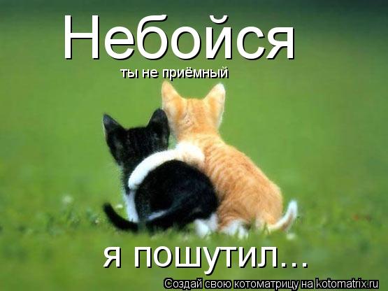 Небойся ты не приёмный я пошутил...... Котоматрица: Небойся ты не приёмный я пошутил...