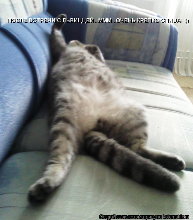 ПОСЛЕ ВСТРЕЧИ С ЛЬВИЦЦЕЙ...МММ...ОЧЕНЬ КРЕПКО СПИЦА! :))... Котоматрица: ПОСЛЕ ВСТРЕЧИ С ЛЬВИЦЦЕЙ...МММ...ОЧЕНЬ КРЕПКО СПИЦА! :))