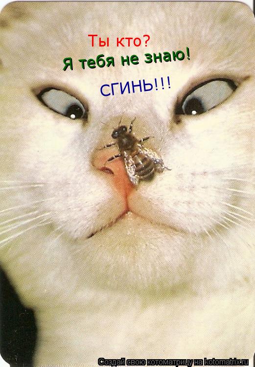 Ты кто? Я тебя не знаю! СГИНЬ!!!... Котоматрица: Ты кто? Я тебя не знаю! СГИНЬ!!!