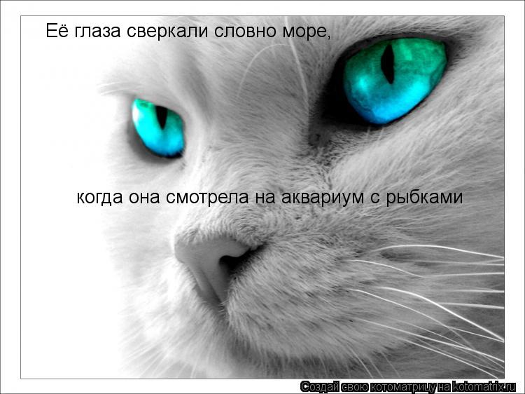 Её глаза сверкали словно море, когда она смотрела на аквариум с рыбками... Котоматрица: Её глаза сверкали словно море, когда она смотрела на аквариум с рыбками