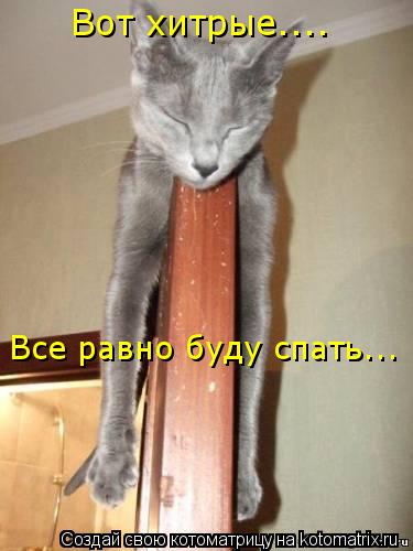 Вот хитрые.... Все равно буду спать...... Котоматрица: Вот хитрые.... Все равно буду спать...