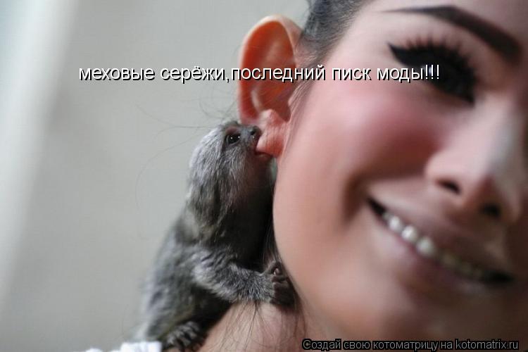 меховые серёжи,последний писк моды!!!... Котоматрица: меховые серёжи,последний писк моды!!!