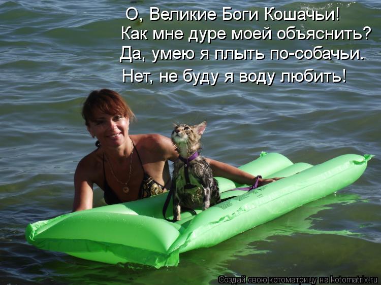 О, Великие Боги Кошачьи! Как мне дуре моей объяснить? Да, умею я плыть по-собачьи. Нет, не буду я вод... Котоматрица: О, Великие Боги Кошачьи! Как мне дуре моей объяснить? Да, умею я плыть по-собачьи. Нет, не буду я воду любить!