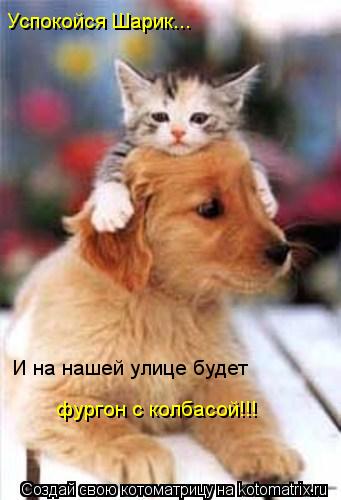 Успокойся Шарик... И на нашей улице будет фургон с колбасой!!!... Котоматрица: Успокойся Шарик... И на нашей улице будет фургон с колбасой!!!