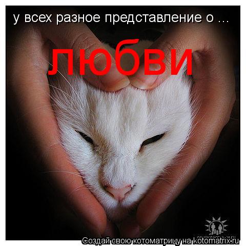 у всех разное представление о ... любви... Котоматрица: у всех разное представление о ... любви