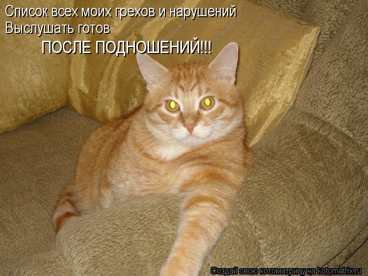 Список всех моих грехов и нарушений Выслушать готов ПОСЛЕ ПОДНОШЕНИЙ!!!... Котоматрица: Список всех моих грехов и нарушений Выслушать готов ПОСЛЕ ПОДНОШЕНИЙ!!!