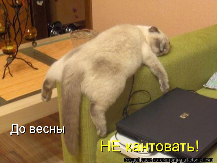 НЕ кантовать! До весны... Котоматрица: НЕ кантовать! До весны