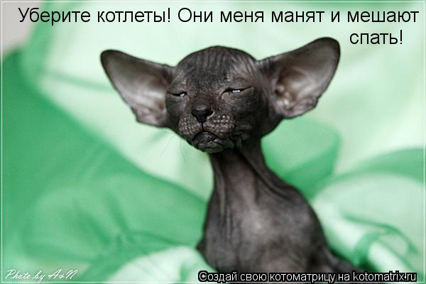Уберите котлеты! Они меня манят и мешают спать!... Котоматрица: Уберите котлеты! Они меня манят и мешают спать!