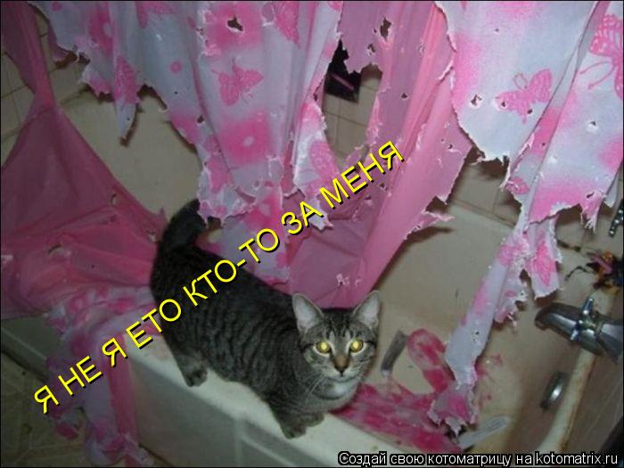 Я НЕ Я ЕТО КТО-ТО ЗА МЕНЯ... Котоматрица: Я НЕ Я ЕТО КТО-ТО ЗА МЕНЯ