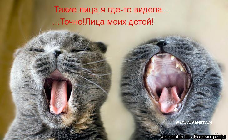 Такие лица,я где-то видела... ...Точно!Лица моих детей!... Котоматрица: Такие лица,я где-то видела... ...Точно!Лица моих детей!