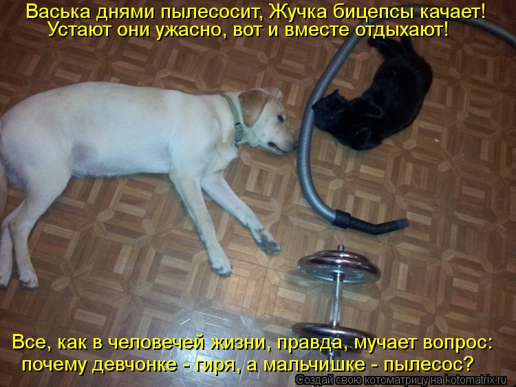 Васька днями пылесосит, Жучка бицепсы качает! Устают они ужасно, вот и вместе отдыхают! почему девчон... Котоматрица: Васька днями пылесосит, Жучка бицепсы качает! Устают они ужасно, вот и вместе отдыхают! почему девчонке - гиря, а мальчишке - пылесос? Все, как