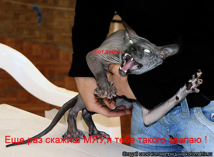 Кот,демон Еще раз скажиш МЯУ,я тебе такого зделаю !... Котоматрица: Кот,демон Еще раз скажиш МЯУ,я тебе такого зделаю !