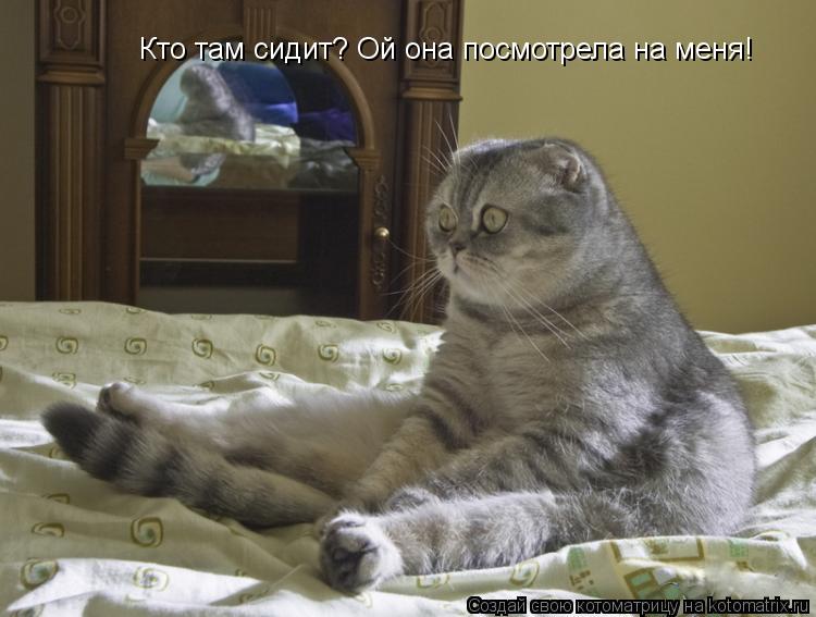 Кто там сидит? Ой она посмотрела на меня!... Котоматрица: Кто там сидит? Ой она посмотрела на меня!