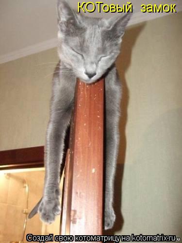 КОТовый замок... Котоматрица: КОТовый замок