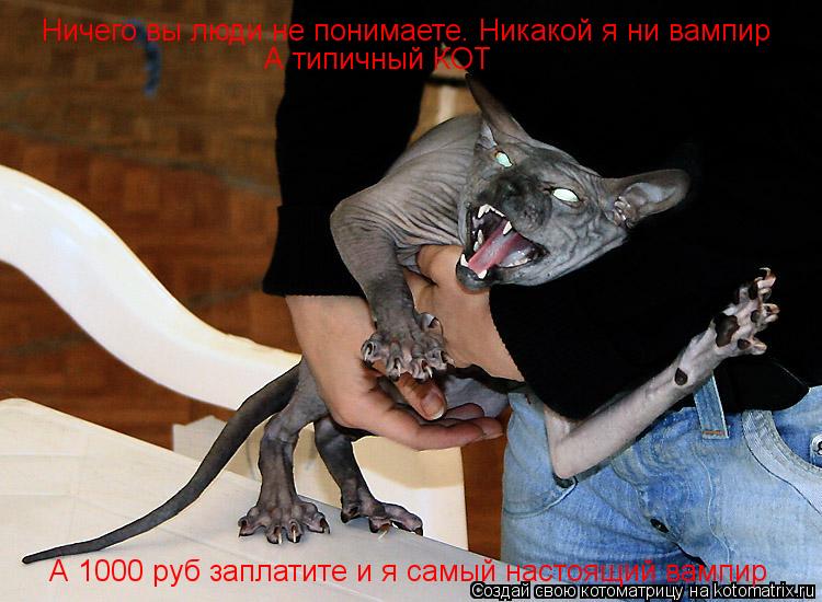 Ничего вы люди не понимаете. Никакой я ни вампир А типичный КОТ А 1000 руб заплатите и я самый настоя... Котоматрица: Ничего вы люди не понимаете. Никакой я ни вампир А типичный КОТ А 1000 руб заплатите и я самый настоящий вампир