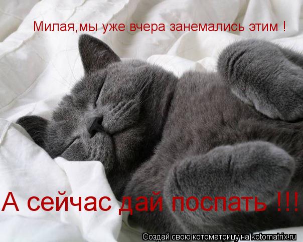 Милая,мы уже вчера занемались этим ! А сейчас дай поспать !!!... Котоматрица: Милая,мы уже вчера занемались этим ! А сейчас дай поспать !!!