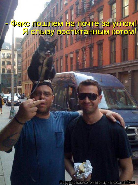 Я слыву воспитанным котом! - Факс пошлем на почте за углом!... Котоматрица: Я слыву воспитанным котом! - Факс пошлем на почте за углом!