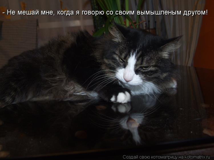 - Не мешай мне, когда я говорю со своим вымышленым другом!... Котоматрица: - Не мешай мне, когда я говорю со своим вымышленым другом!
