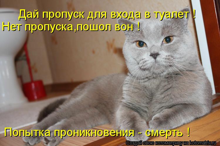 Дай пропуск для входа в туалет ! Нет пропуска,пошол вон ! Попытка проникновения - смерть !... Котоматрица: Дай пропуск для входа в туалет ! Нет пропуска,пошол вон ! Попытка проникновения - смерть !