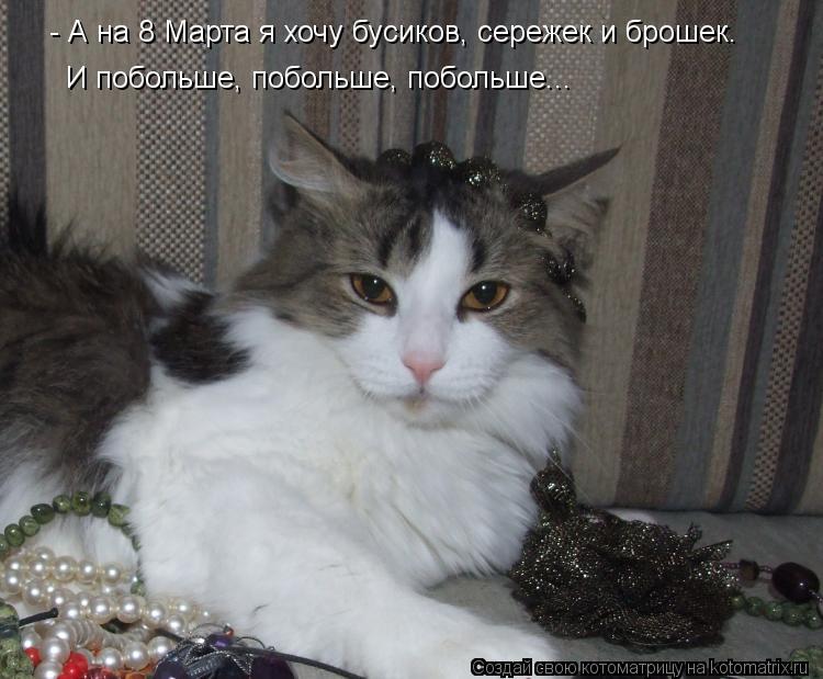 - А на 8 Марта я хочу бусиков, сережек и брошек. И побольше, побольше, побольше...... Котоматрица: - А на 8 Марта я хочу бусиков, сережек и брошек. И побольше, побольше, побольше...