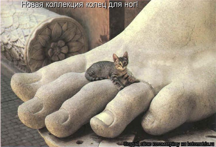 Новая коллекция колец для ног!... Котоматрица: Новая коллекция колец для ног!