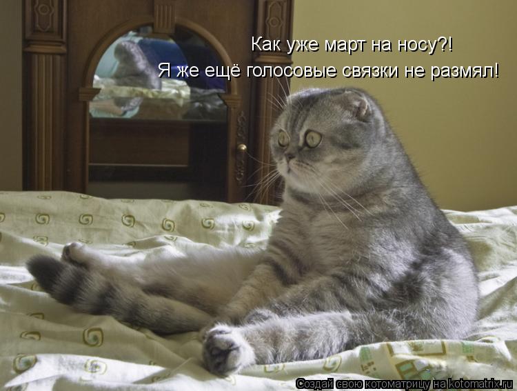 Как уже март на носу?! Я же ещё голосовые связки не размял!... Котоматрица: Как уже март на носу?! Я же ещё голосовые связки не размял!