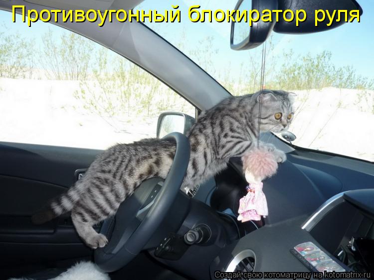 Противоугонный блокиратор руля... Котоматрица: Противоугонный блокиратор руля