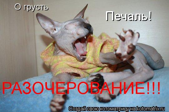 О грусть Печаль! РАЗОЧЕРОВАНИЕ!!!... Котоматрица: О грусть Печаль! РАЗОЧЕРОВАНИЕ!!!
