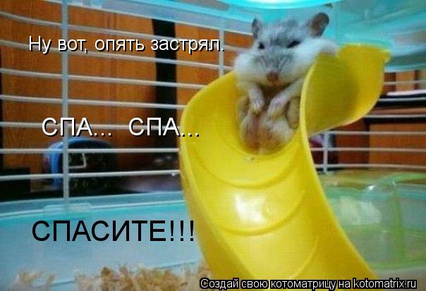 СПА... СПА... Ну вот, опять застрял. СПАСИТЕ!!!... Котоматрица: СПА... СПА... Ну вот, опять застрял. СПАСИТЕ!!!