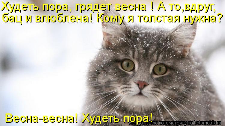 Худеть пора, грядет весна ! А то,вдруг, бац и влюблена! Кому я толстая нужна? Весна-весна! Худеть пор... Котоматрица: Худеть пора, грядет весна ! А то,вдруг, бац и влюблена! Кому я толстая нужна? Весна-весна! Худеть пора!