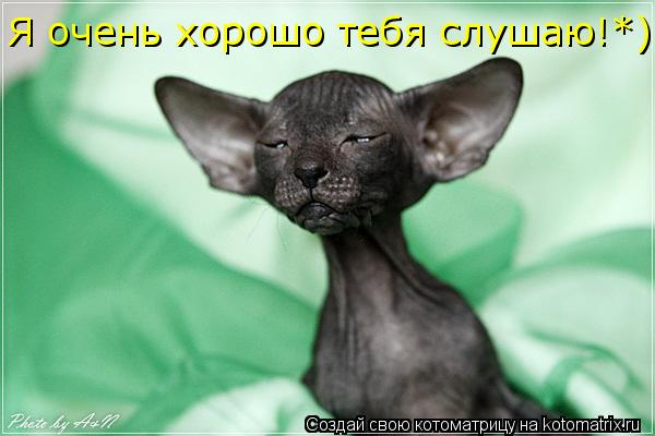 Я очень хорошо тебя слушаю!*) Я очень хорошо тебя слушаю!*) Я очень хорошо тебя слушаю!*)... Котоматрица: Я очень хорошо тебя слушаю!*) Я очень хорошо тебя слушаю!*) Я очень хорошо тебя слушаю!*)