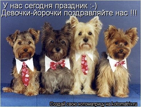 У нас сегодня праздник :-) Девочки-йорочки поздравляйте нас !!!... Котоматрица: У нас сегодня праздник :-) Девочки-йорочки поздравляйте нас !!!