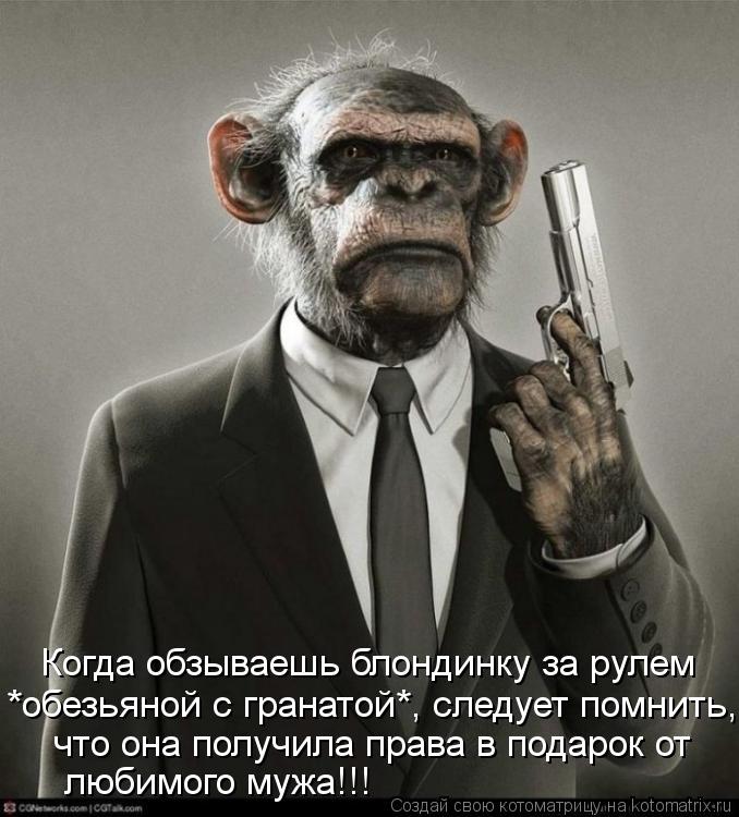 что она получила права в подарок от любимого мужа!!! *обезьяной с гранатой*, следует помнить, Когда о... Котоматрица: что она получила права в подарок от любимого мужа!!! *обезьяной с гранатой*, следует помнить, Когда обзываешь блондинку за рулем