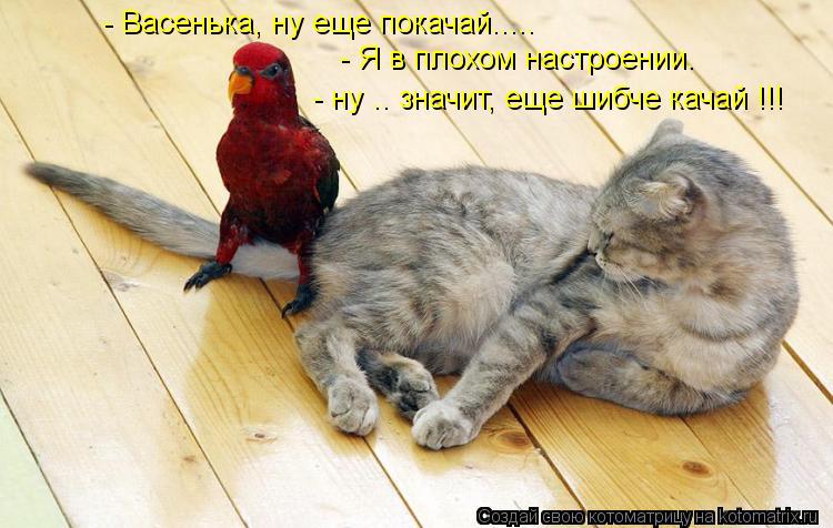 - Васенька, ну еще покачай..... - Я в плохом настроении. - ну .. значит, еще шибче качай !!!... Котоматрица: - Васенька, ну еще покачай..... - Я в плохом настроении. - ну .. значит, еще шибче качай !!!