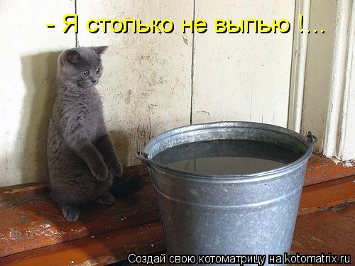 - Я столько не выпью !...... Котоматрица: - Я столько не выпью !...