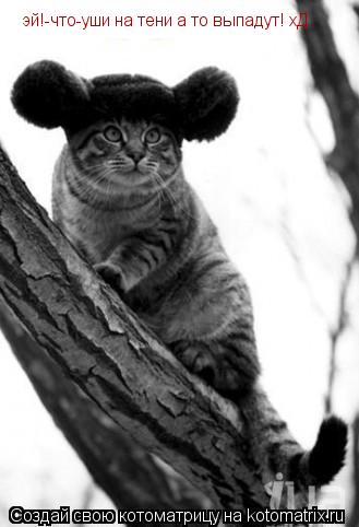 эй!-что-уши на тени а то выпадут! хД... Котоматрица: эй!-что-уши на тени а то выпадут! хД