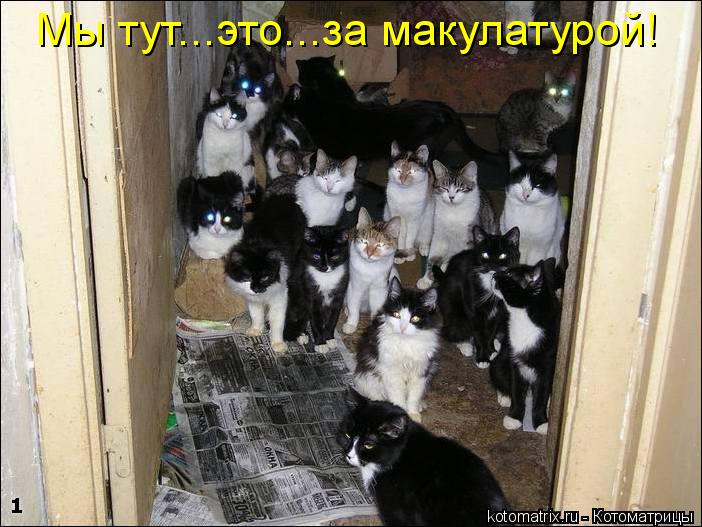 Мы тут...это...за макулатурой!... Котоматрица: Мы тут...это...за макулатурой!