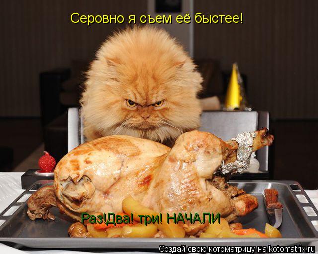 Серовно я съем её быстее! Раз!Два! три! НАЧАЛИ... Котоматрица: Серовно я съем её быстее! Раз!Два! три! НАЧАЛИ