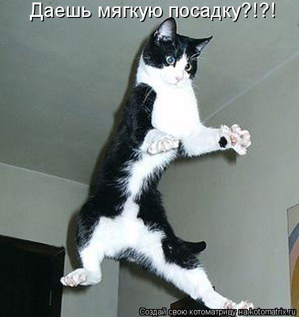 Даешь мягкую посадку?!?!... Котоматрица: Даешь мягкую посадку?!?!