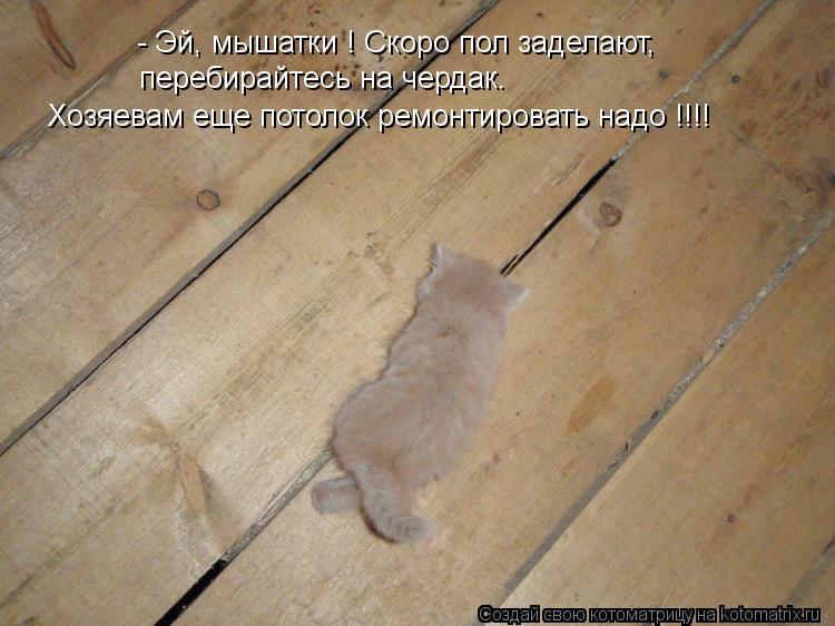 - Эй, мышатки ! Скоро пол заделают, перебирайтесь на чердак. Хозяевам еще потолок ремонтировать надо ... Котоматрица: - Эй, мышатки ! Скоро пол заделают, перебирайтесь на чердак. Хозяевам еще потолок ремонтировать надо !!!!