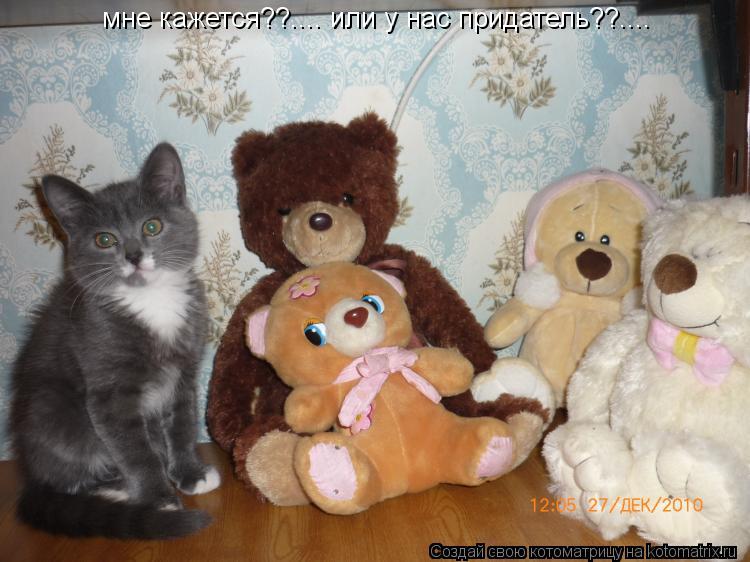 мне кажется??.... или у нас придатель??....... Котоматрица: мне кажется??.... или у нас придатель??....
