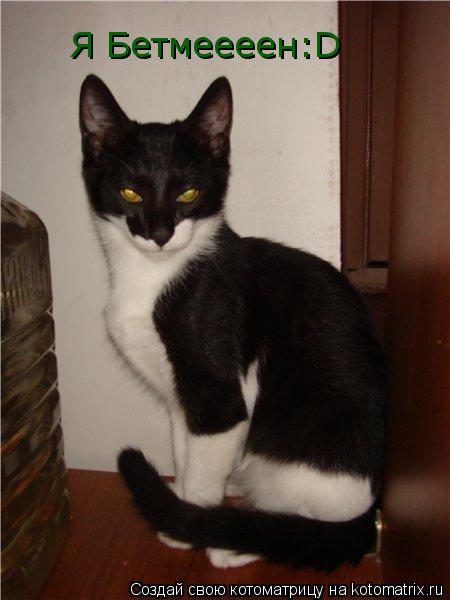 Я Бетмеееен:D... Котоматрица: Я Бетмеееен:D