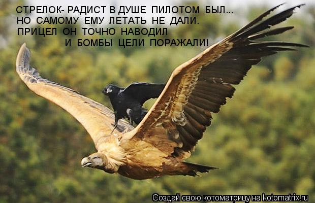 СТРЕЛОК- РАДИСТ В ДУШЕ ПИЛОТОМ БЫЛ... НО САМОМУ ЕМУ ЛЕТАТЬ НЕ ДАЛИ. ПРИЦЕЛ ОН ТОЧНО НАВОДИЛ... Котоматрица: СТРЕЛОК- РАДИСТ В ДУШЕ ПИЛОТОМ БЫЛ... НО САМОМУ ЕМУ ЛЕТАТЬ НЕ ДАЛИ. ПРИЦЕЛ ОН ТОЧНО НАВОДИЛ И БОМБЫ ЦЕЛИ ПОРАЖАЛИ!
